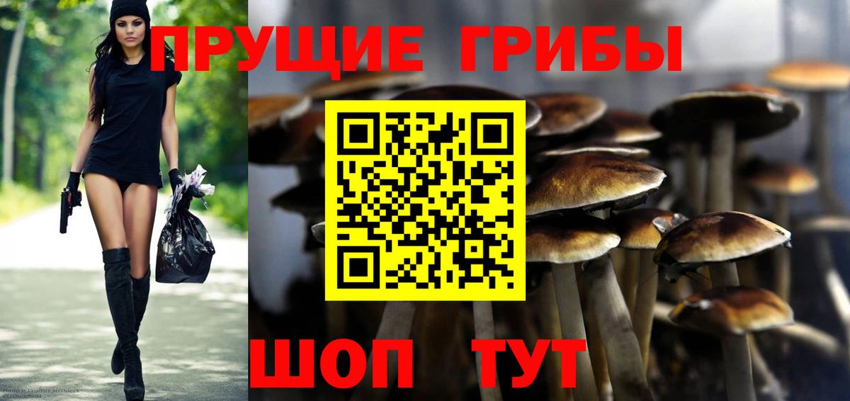 Луга  Псилоцибиновые грибы прущие грибы  Галлюциногенные грибы Magic Shrooms  Вход с VPN 