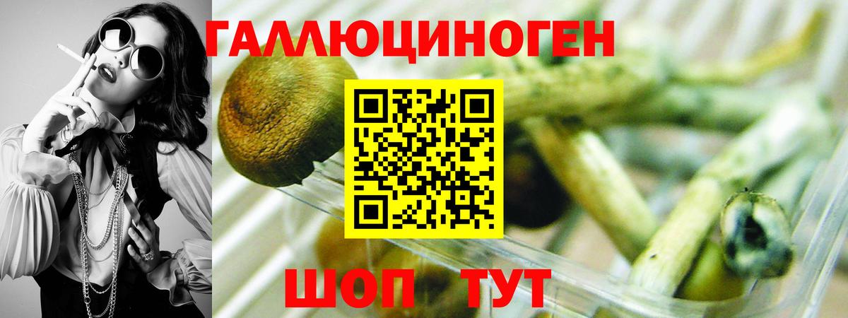Псилоцибиновые грибы мицелий Луга